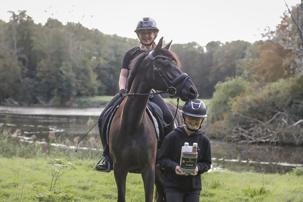 Ontspanning & focus voor paarden – LiNox Calm