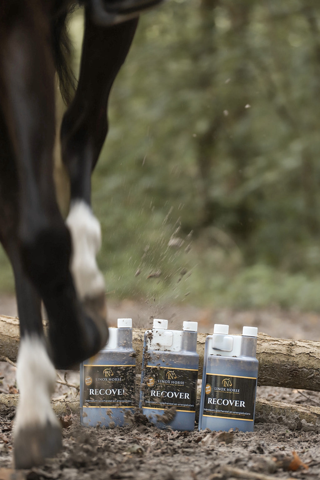 Spierondersteuning & herstel voor sportpaarden - LiNox Recover