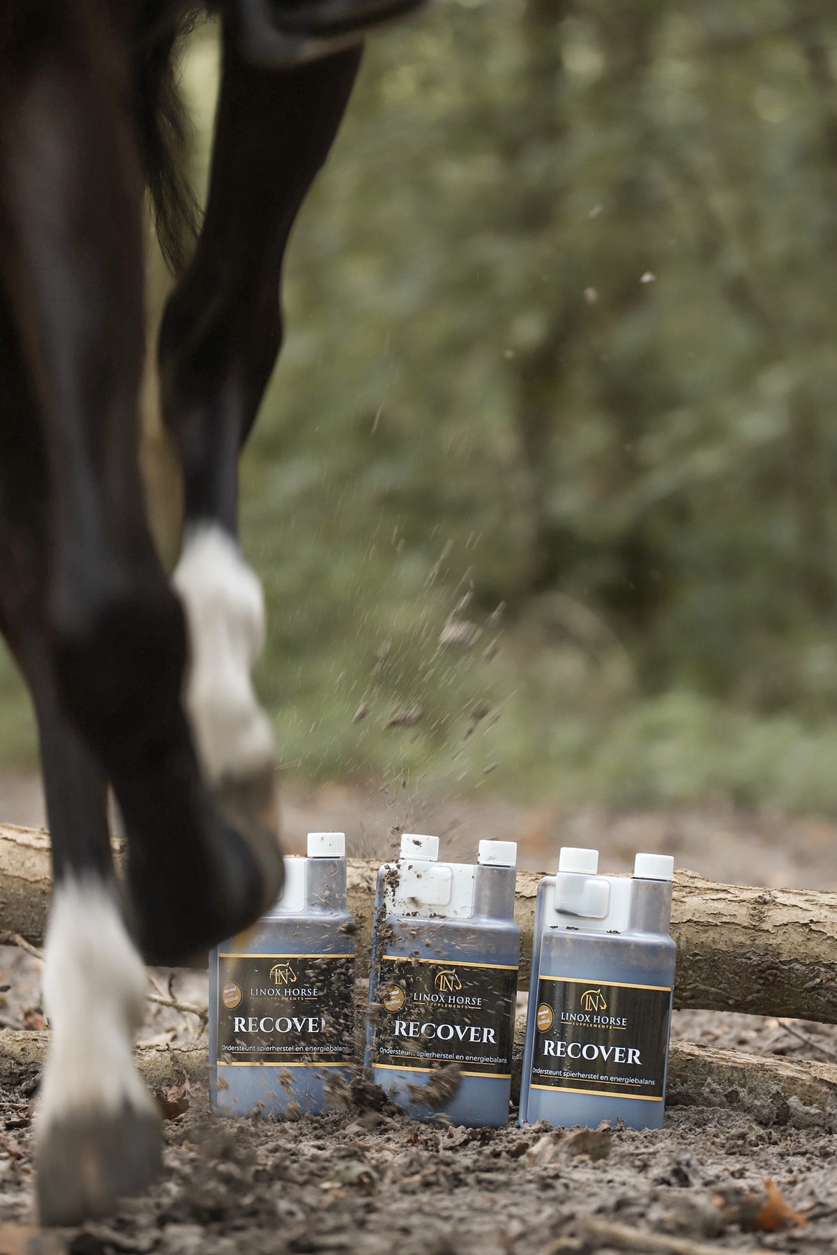 Spierondersteuning & herstel voor sportpaarden - LiNox Recover